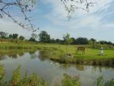 Mill Farm Campsite, Suffolk